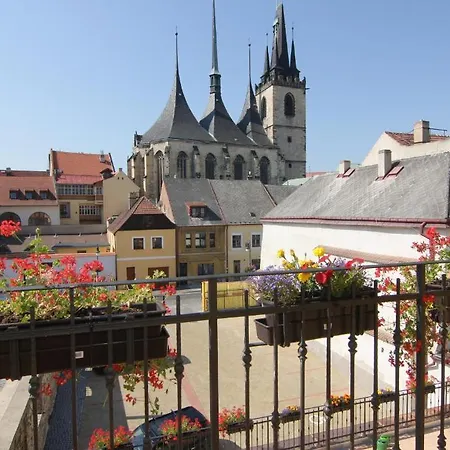 U Radnice Hotel 3*